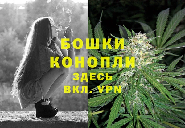 2c-b Михайлов