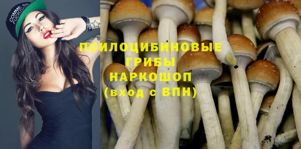 2c-b Михайлов