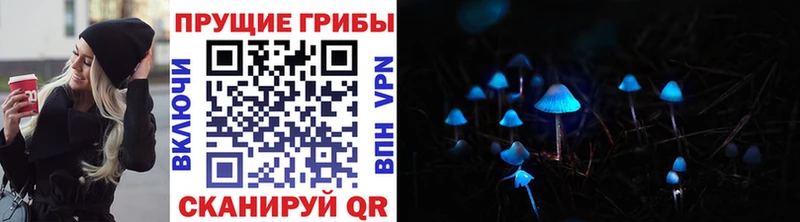Купить где  Красный Холм  Галлюциногенные грибы Cubensis 